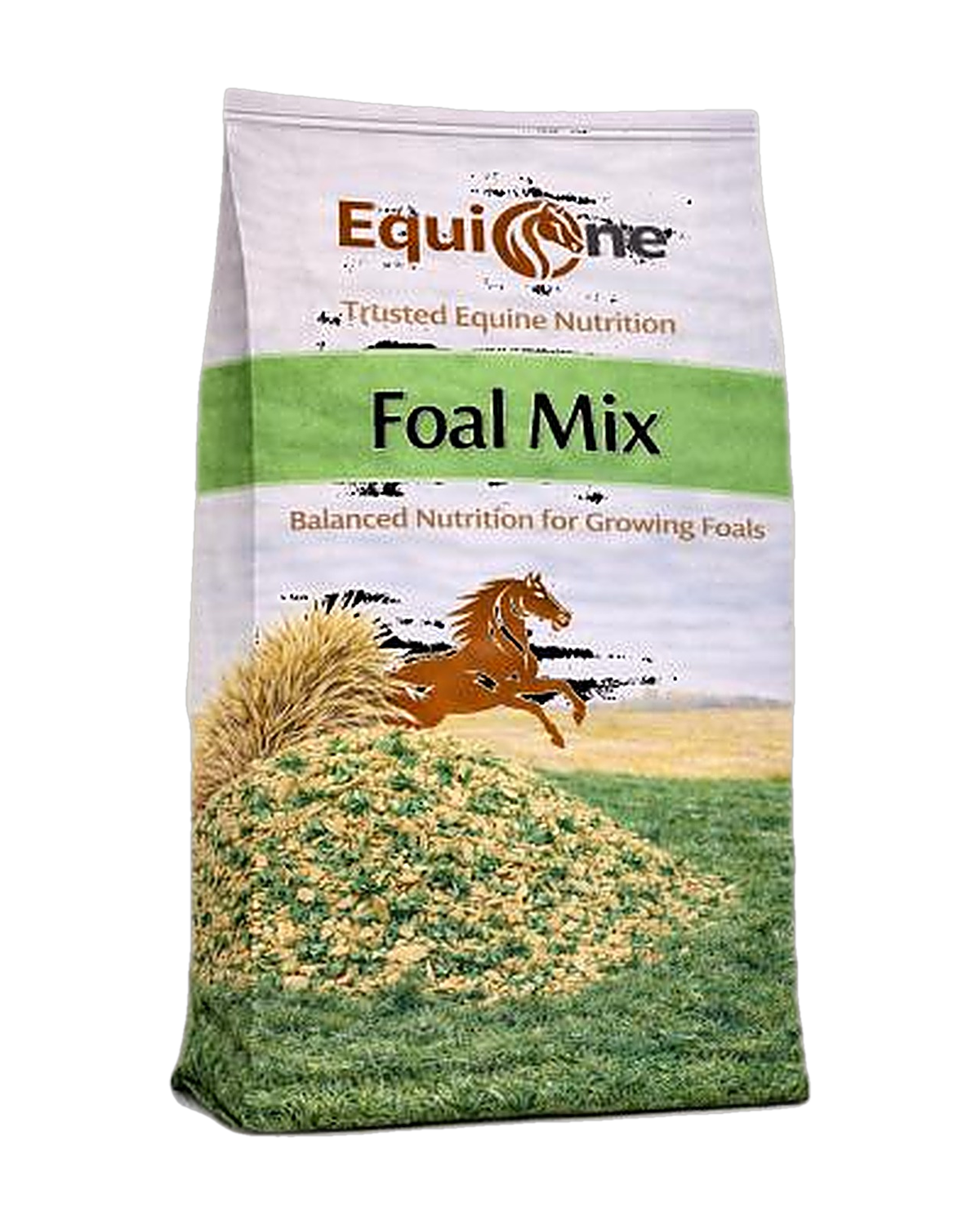 EquiOne Foal Mix — Balanced Nutrition for Growing Foals