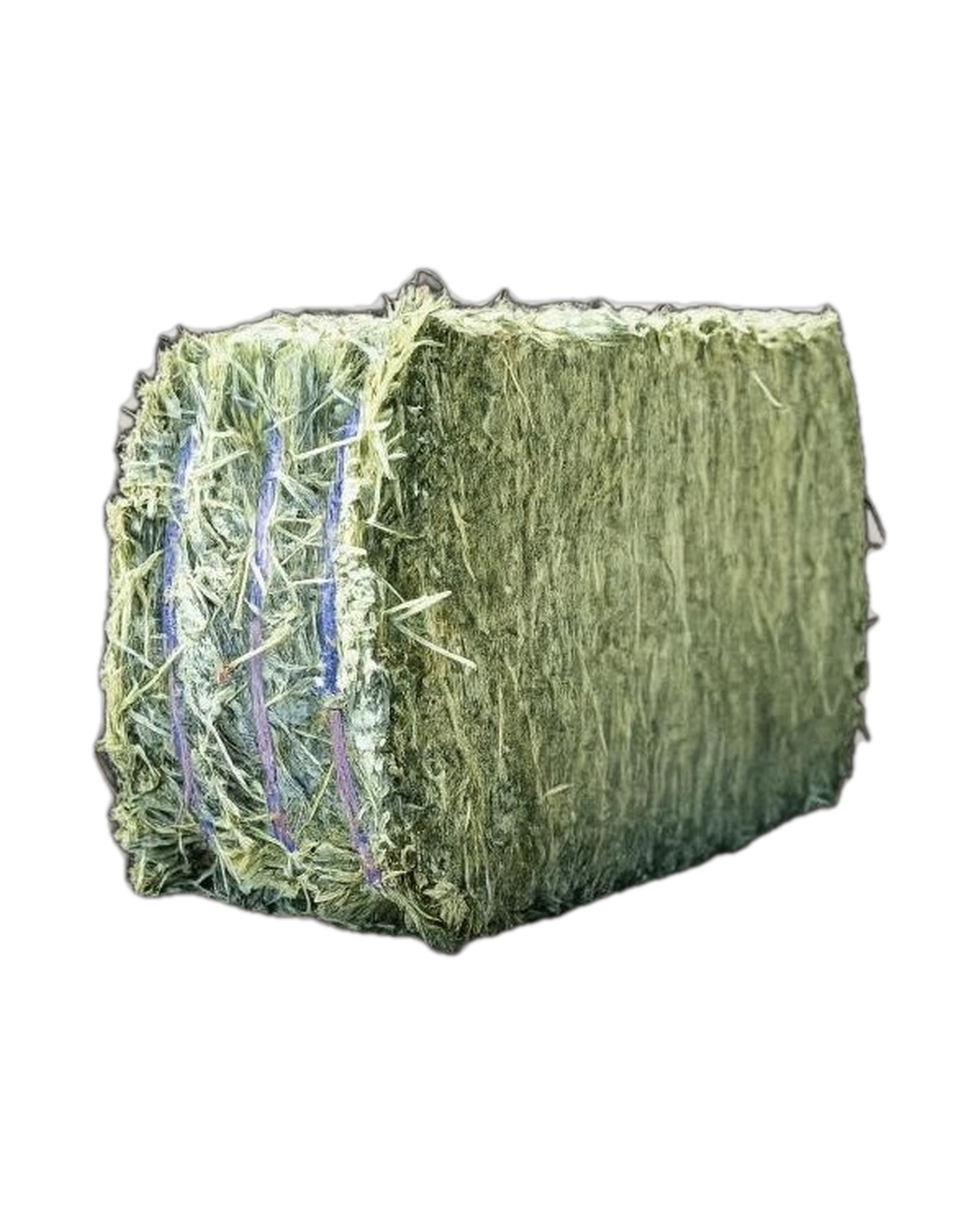 EquiOne Timothy Hay Bale — Superior Fibre for Digestive Health